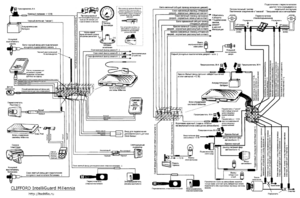 Автомобильная сигнализация CLIFFORD INTELLIGUARD MILLENNIA схема подключения